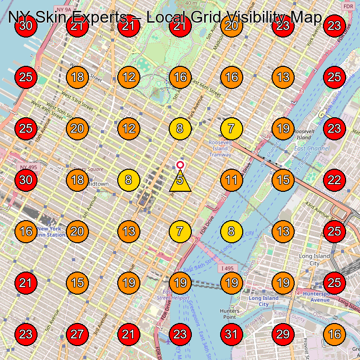 NY Skin Experts GeoGrid visibility map for Skin Care Clinic in New York